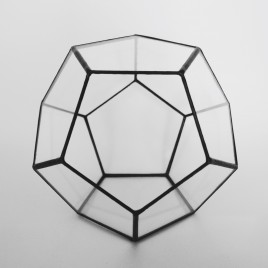 Dodecahedron Terrarium