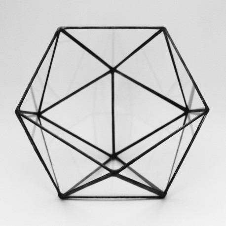 Icosahedron Terrarium