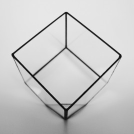 Medium Cube Terrarium