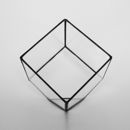 Small Cube Terrarium