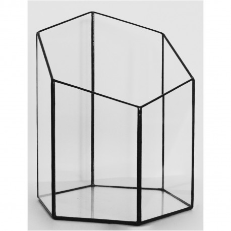 Hexagonal Prism Terrarium